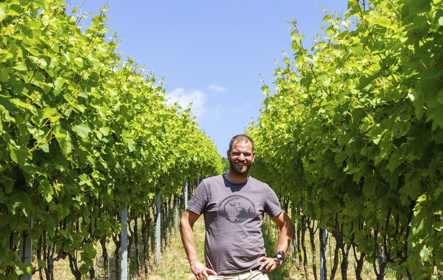 Wunder und Weinbau gehen Hand in Hand